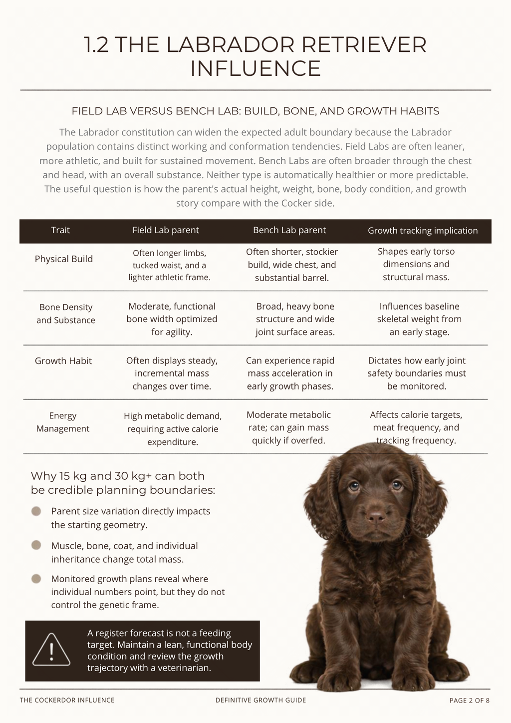 The Ultimate Cockerdor Puppy Guide 7-in-1 Bundle (PDF)
