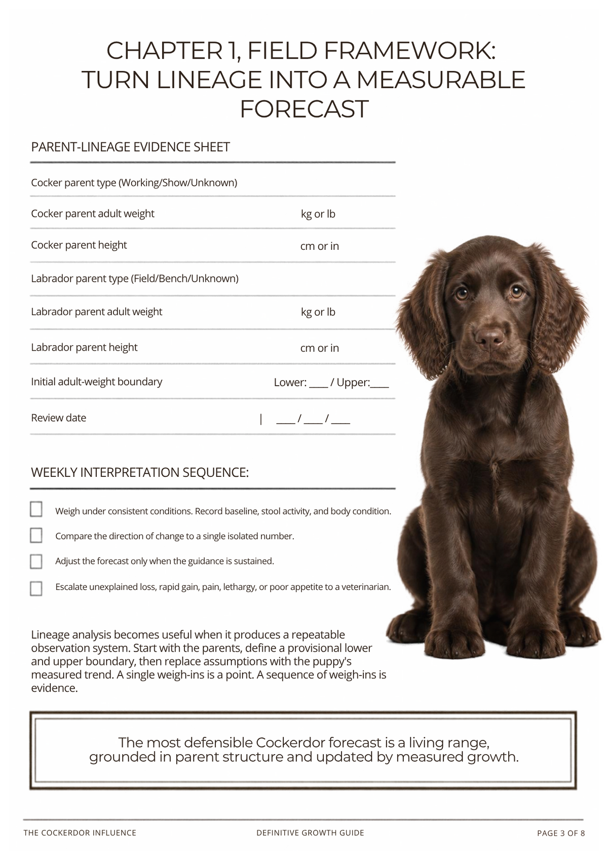 Cockerdor Growth & Weight Guide | Cocker Spaniel Lab Mix Nutrition (Digital Download)