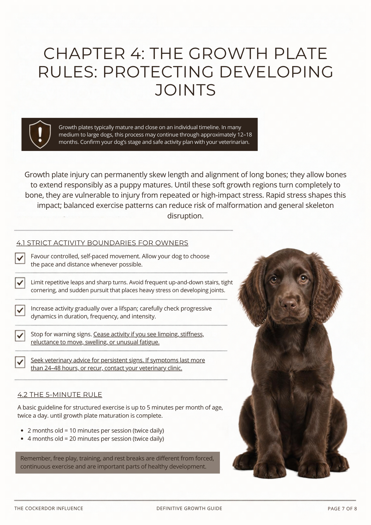 Cockerdor Growth & Weight Guide | Cocker Spaniel Lab Mix Nutrition (Digital Download)