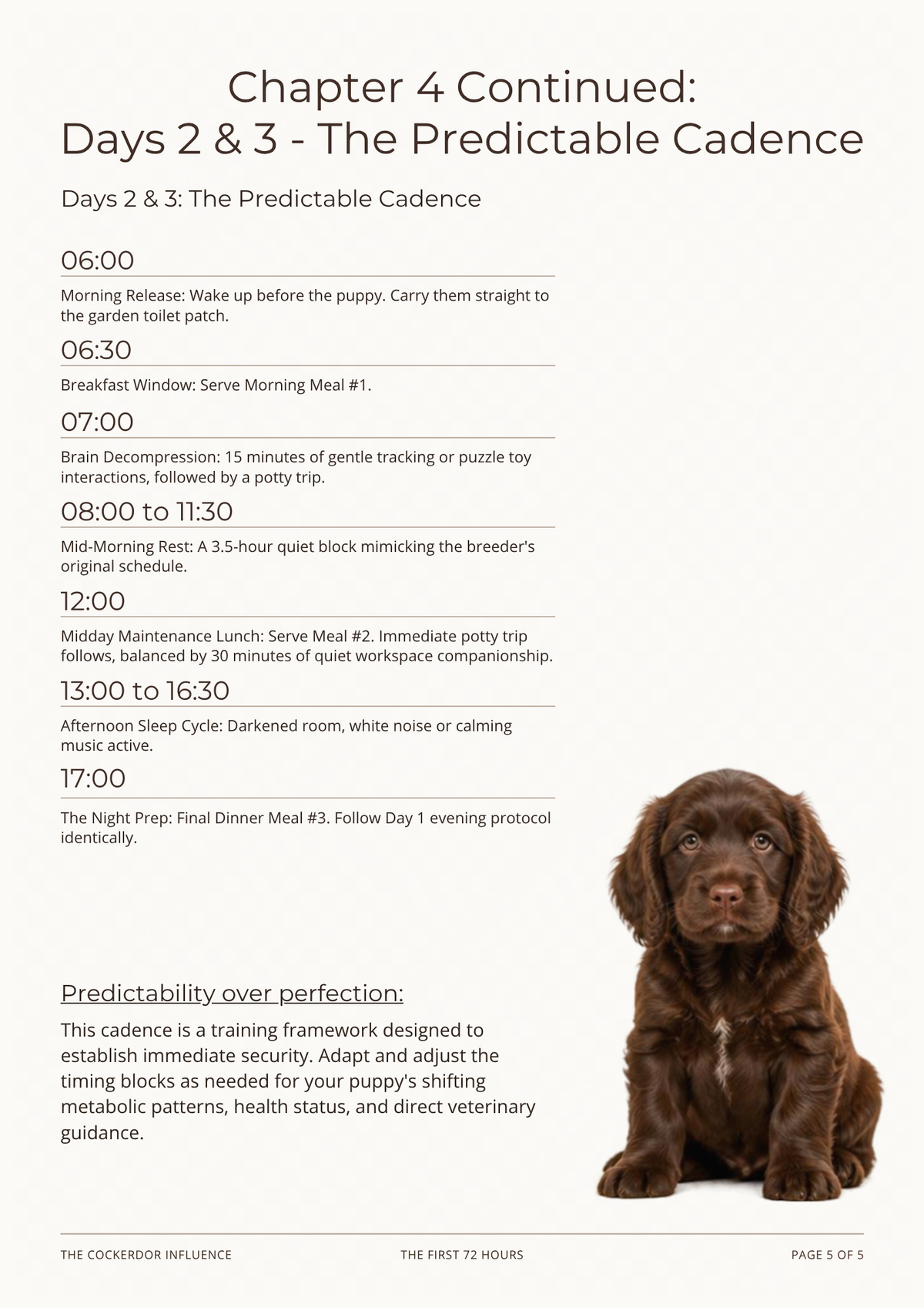 The First 72 Hours Protocol Guide | Puppy Home Transition (Digital Download)