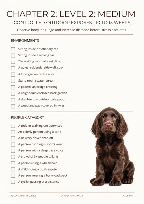 Printable Puppy Socialisation Checklist | 100 Milestone Exposures (PDF)