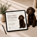 The First 72 Hours Protocol Guide | Puppy Home Transition (Digital Download)